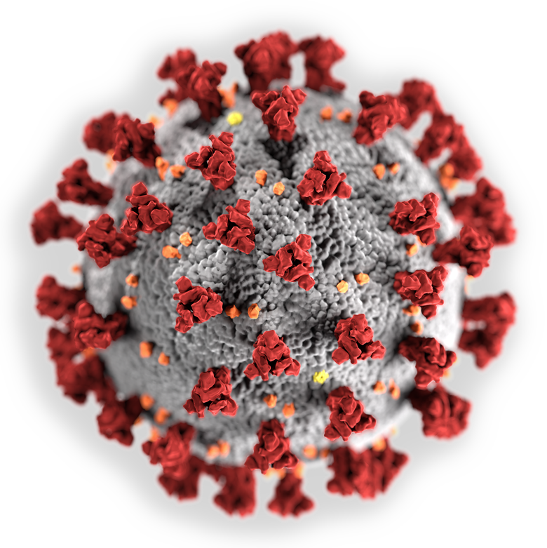 Koronavirus SARS-CoV-2
